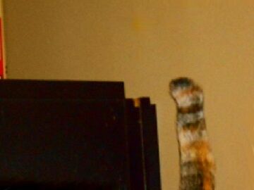 12月13日（24）仮