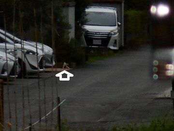 9月12日（5-11）仮