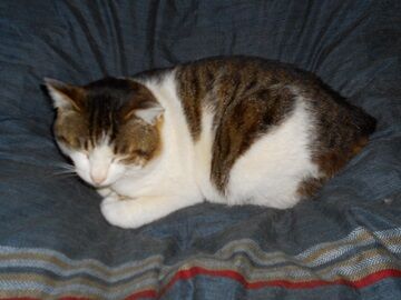 3月27日（12）仮