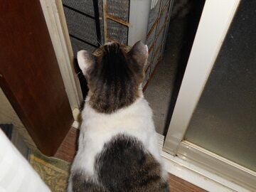 9月28日（4-9）仮