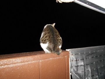 9月23日（22-22）仮