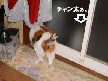 10月11日（19-1）仮