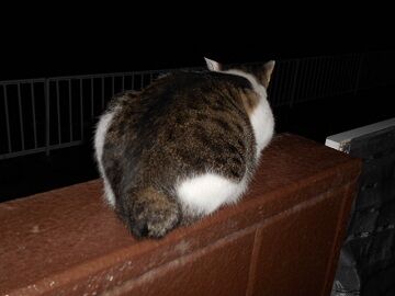 9月26日（22-4）仮