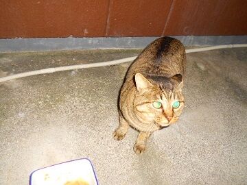 12月13日（58）仮