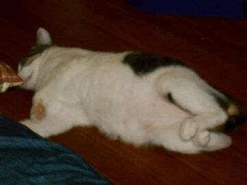 9月7日（8-4）仮