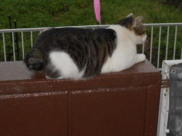 9月13日（5-19）仮