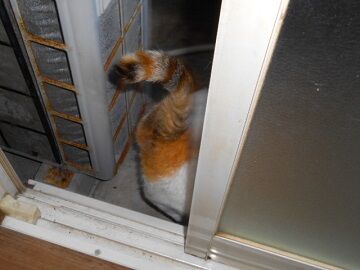 5月24日（22）仮