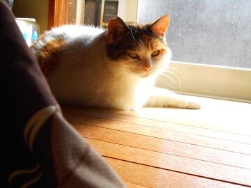 4月10日（14）仮