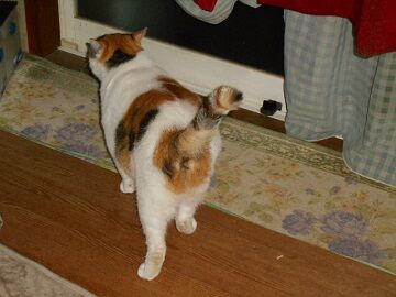 9月23日（20-1）仮