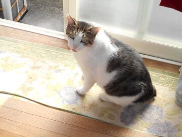 9月17日（7-8）仮