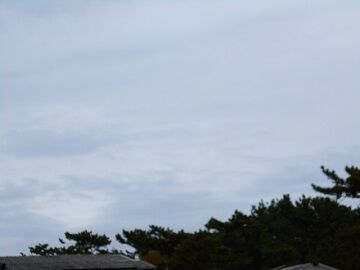 11月26日（10）仮