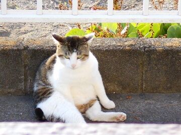 5月12日（22）仮