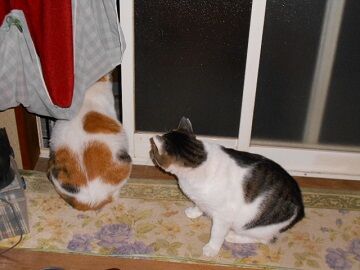 10月7日（20-5）仮