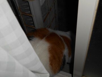 9月23日（20-3）仮