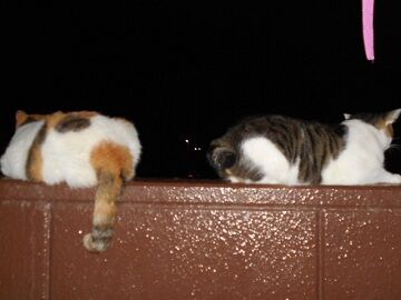 9月12日（22-13）仮