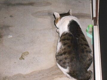 10月7日（20-11）仮