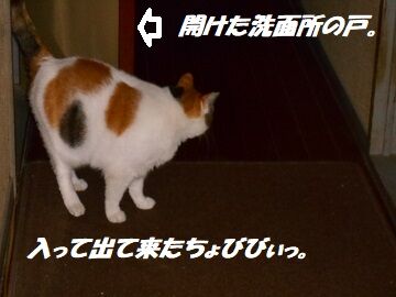 10月19日（8-9）仮