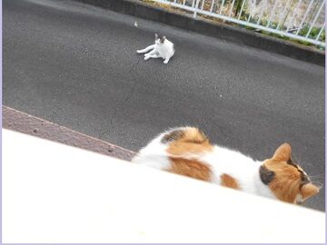 10月3日（24）仮