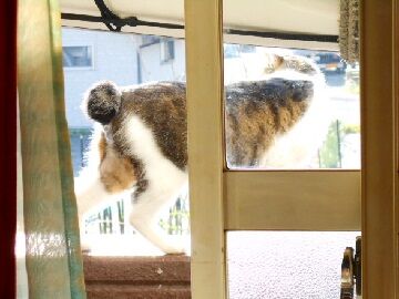 5月23日（36）仮