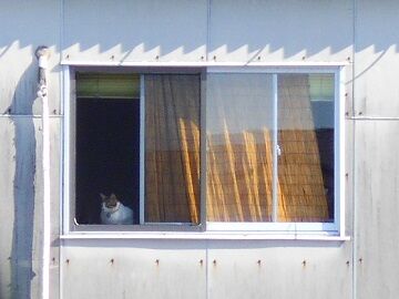 11月1日（42）仮