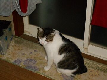 9月12日（22-14）仮