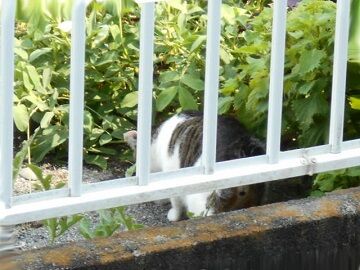 8月19日（14）仮