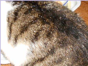 10月12日（16）仮