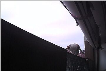 12月30日（22.6）仮