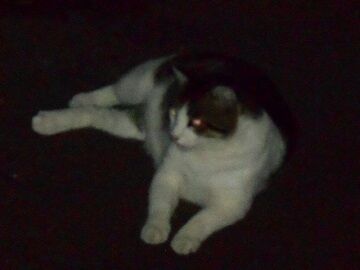 6月22日（32）仮