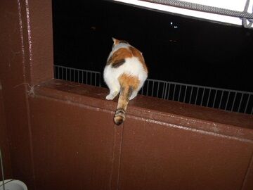 9月12日（20-1）仮