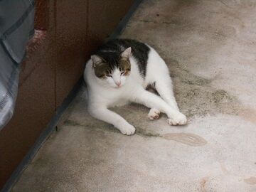 9月14日（14-4）仮