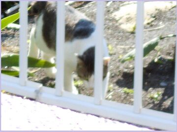 6月13日（18）仮