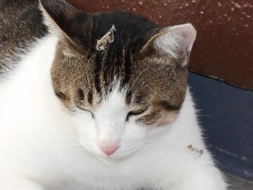 9月11日（8-6）仮