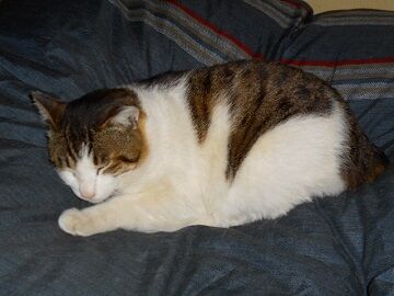 4月10日（10）仮