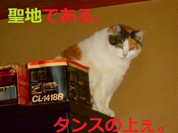2月10日（70）仮