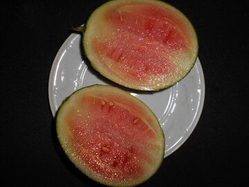 8月21日（39）仮