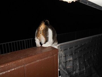 9月23日（22-23）仮