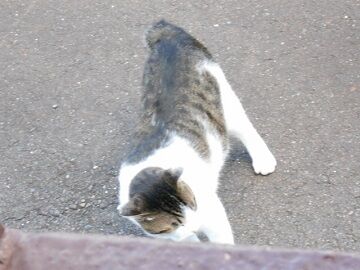 9月20日（56）仮