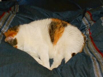 5月22日（42）仮