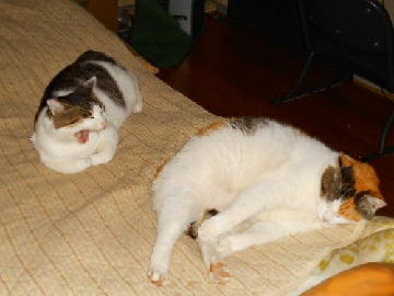 10月27日（48）仮