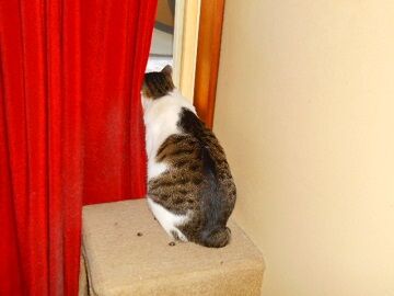 12月23日（13）仮