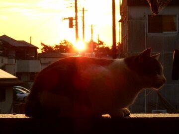 10月2日（25）仮