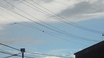 8月12日(12)