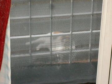 7月31日（69）仮