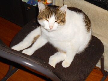 1月24日（1）使用