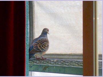 3月21日7-49-1　使用