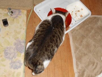 10月1日（5-2）仮