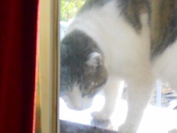 4月23日（11）仮