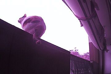 12月30日（5.8）仮