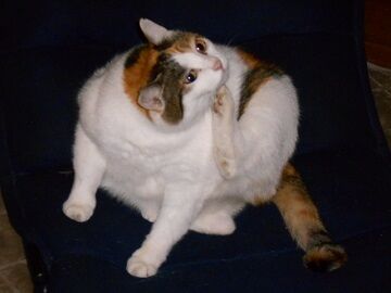 10月4日（22-8）仮